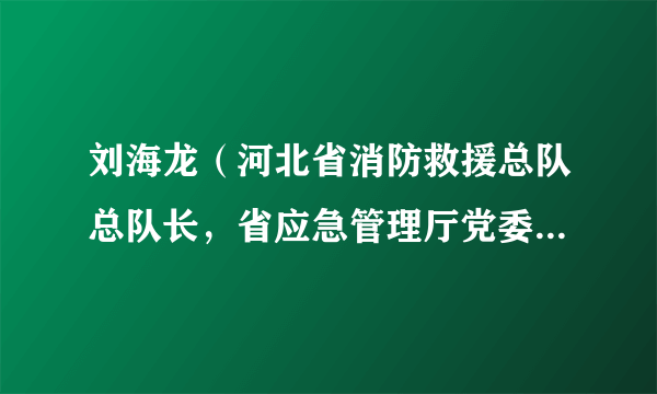 刘海龙（河北省消防救援总队总队长，省应急管理厅党委委员、副厅长（兼））